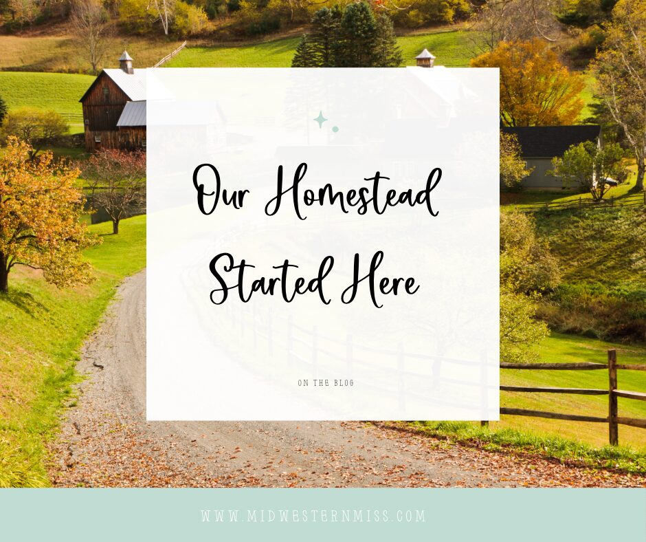 “Embarking on Our Homestead Journey: Transitioning from City Life to Self-Sufficiency”