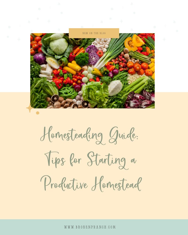 Homesteading Guide: Tips for Starting a Productive Homestead